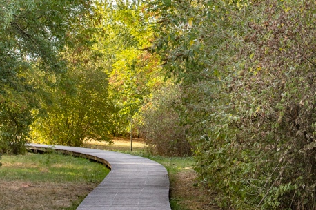 La Vegetale coulee verte 20 km de Creteil